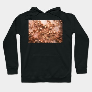 Scenic Wonder Hoodie